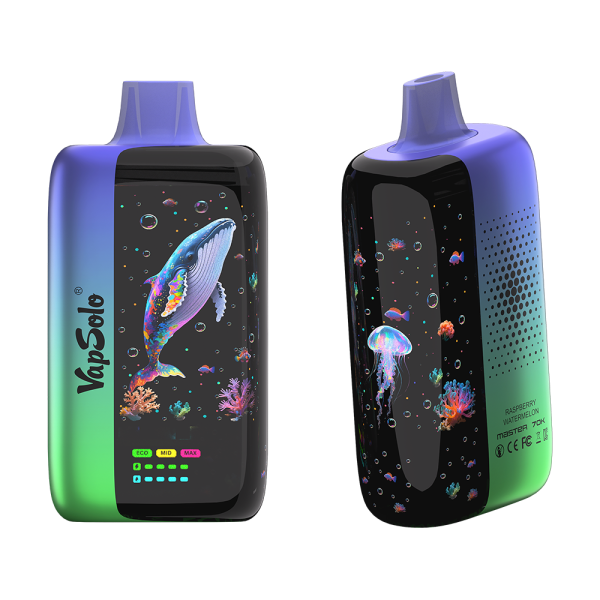 Vape Vapsolo Master 70k Puffs