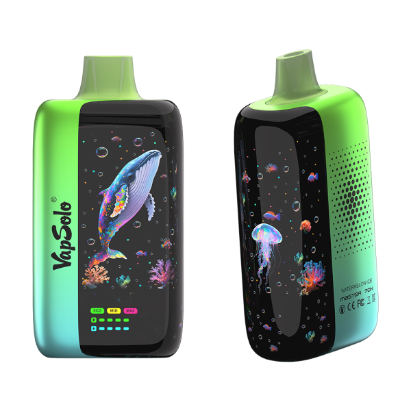 Vape Vapsolo Master 70k Puffs